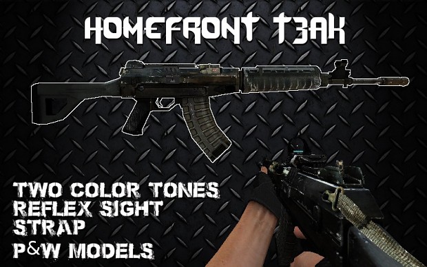Homefront T3AK (QBZ-03)