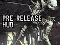 Pre-Release In-Game HUD