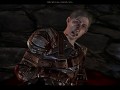 rogue armor addon - tmp7704 mod for Dragon Age: Origins - ModDB