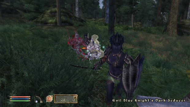Attacking Blue Knights of Tamriel
