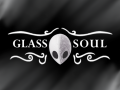 Hollow Knight: Glass Soul [1.2.2.1]