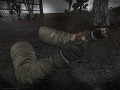 HD hands for S.T.A.L.K.E.R.: Last Day