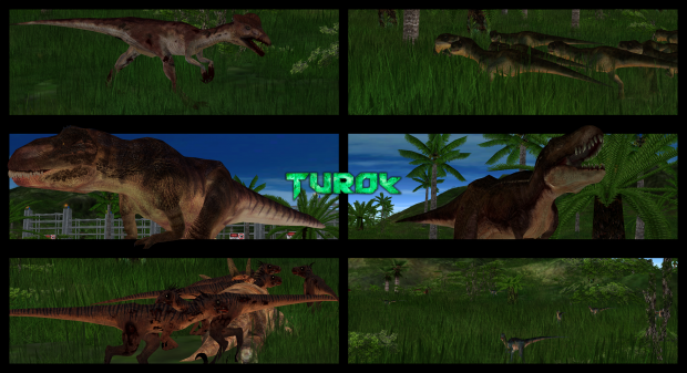 Turok (2008) Release