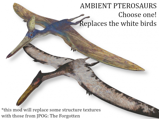 Ambient Pterosaurs