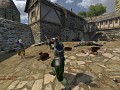 wfas animations mod (OLD)