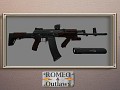 AK 12 WAR-custom - Hell