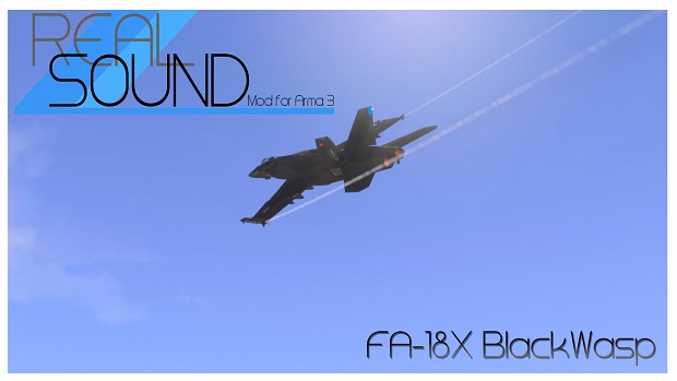 FA-18X BlackWasp - REAL SOUND mod