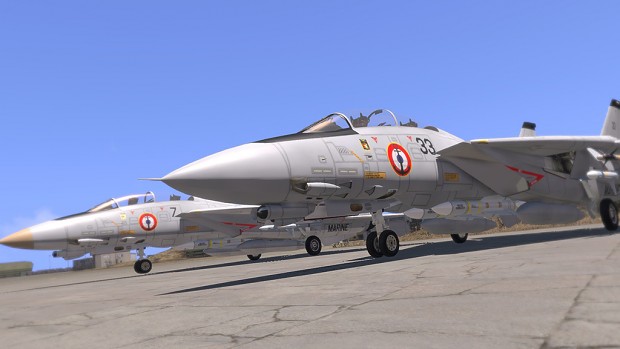 French Navy "F-14F" retextures
