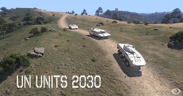 UN Units 2030