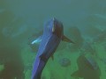 Feed And Grow Fish Mod