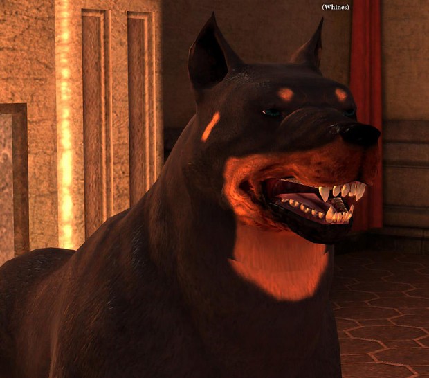 Dog as a Rottweiler V2