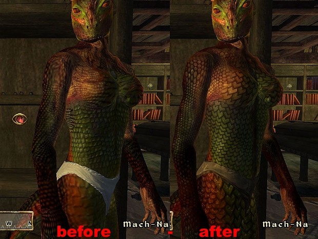 Quality Female Textures 1.0a Final