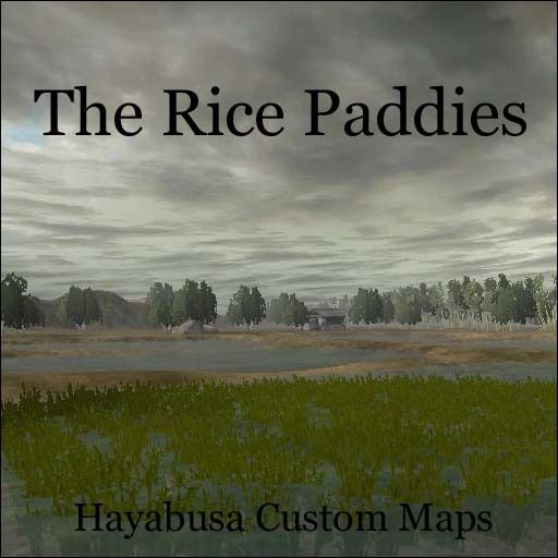 The Rice Paddies