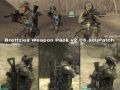 Brettzies Weapon Pack v2.05 acuPatch