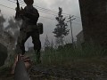 Single Player Weapons Mod
