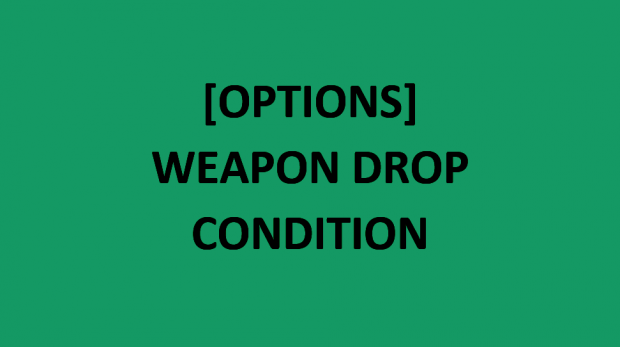 [Options] Weapon Loot Condition