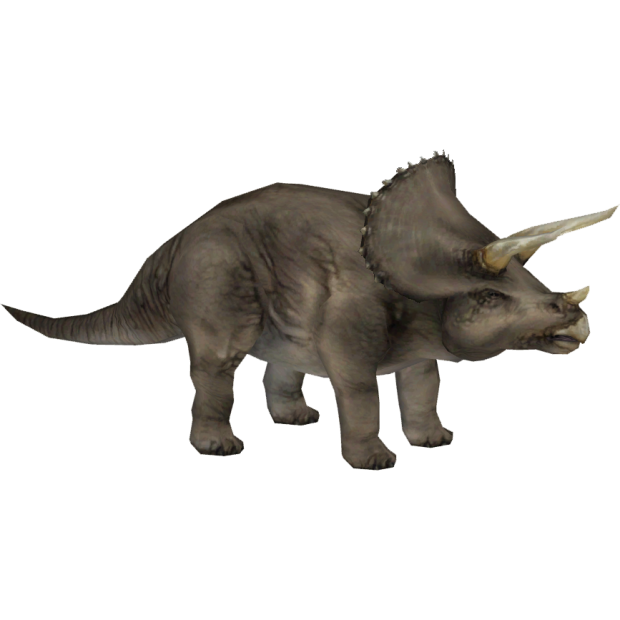de triceratopo a triceratop