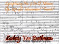 Symphony No. 9 In D Minor Op. 125 IV "Finale"