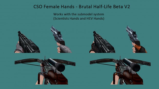 BHL Beta V2 Weapons - CSO Female Hands