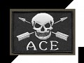 ACE mods pack for ArmA 2 : Combined Operation