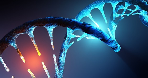 Repeatable Genetics And Robomodding