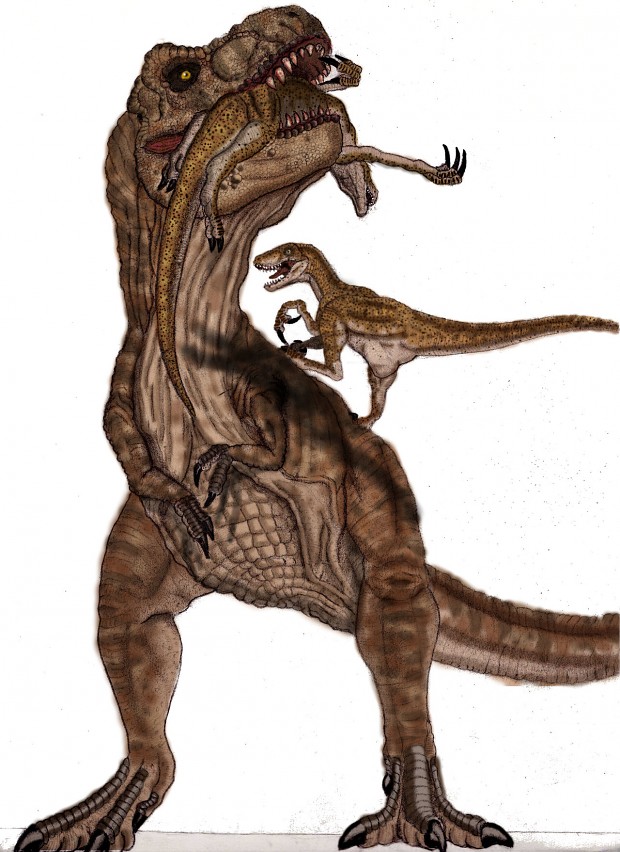 Raptor vs Rex