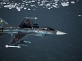F-2A JASDF 6th TFS