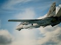 F-14D Tomcat -Mobius-
