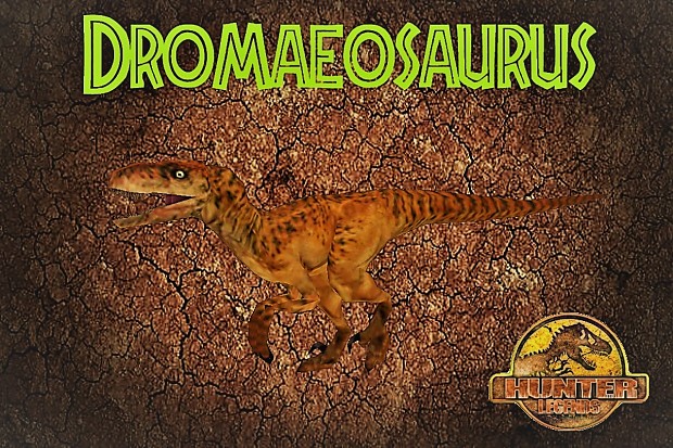 Dromaeosaurus