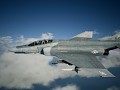 Wild Weasel based skin for F-4E