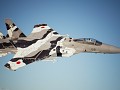 F-15J JASDF Aggressor Unit