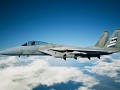 USAF F-15C/J Spare Stripes