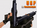 USP with DiamonD Arms