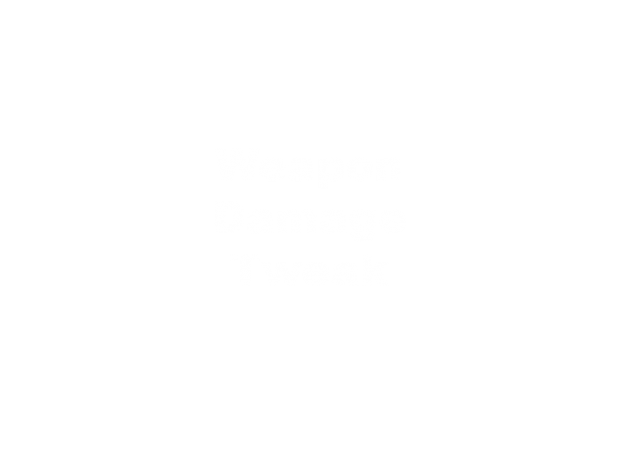 Anomaly mod (1.5.0b2.4) weapon damage tweak