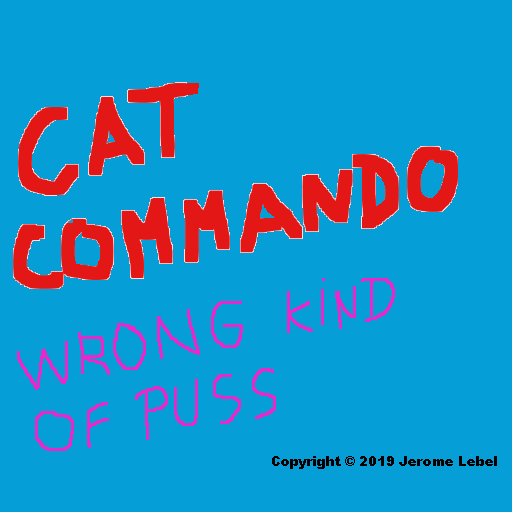 CatComWronKindOfPuss1 4 00