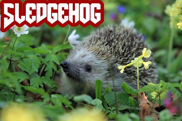 Sledgehog