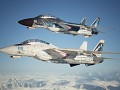 F-14D and F-14DJ -Mobius-