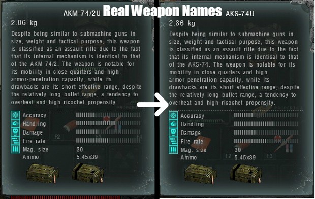 Real Weapon Names for Call of Pripyat