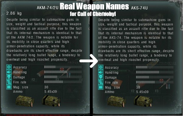 Real Weapon Names for Call of Chernobyl [1.4/1.5]