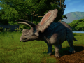 Semi-Accurate Torosaurus