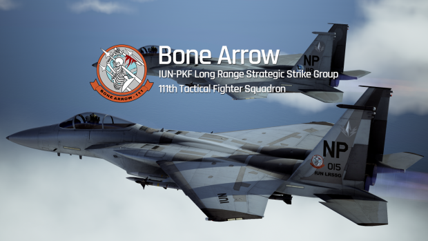 F-15C 111th Bone Arrow Squadron