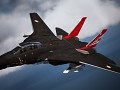 F-14D -Salvation-