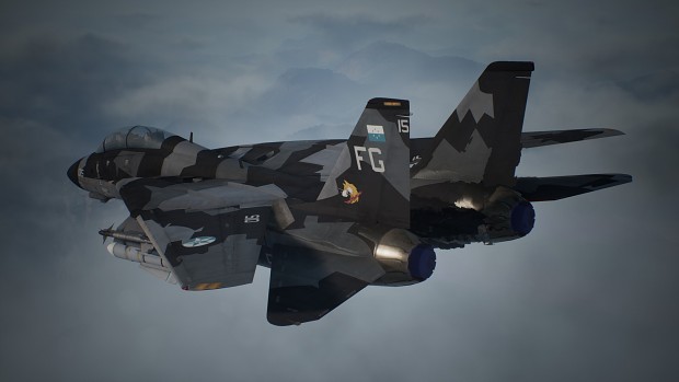 F-14D -INF Grey-