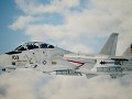 F-14D VF-31 Tomcatters "Flyout"