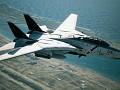 F-14B and F-14D -Wardog- and -Razgriz-