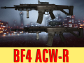 BF4 ACW R