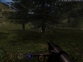 PS2 HUD for COOP