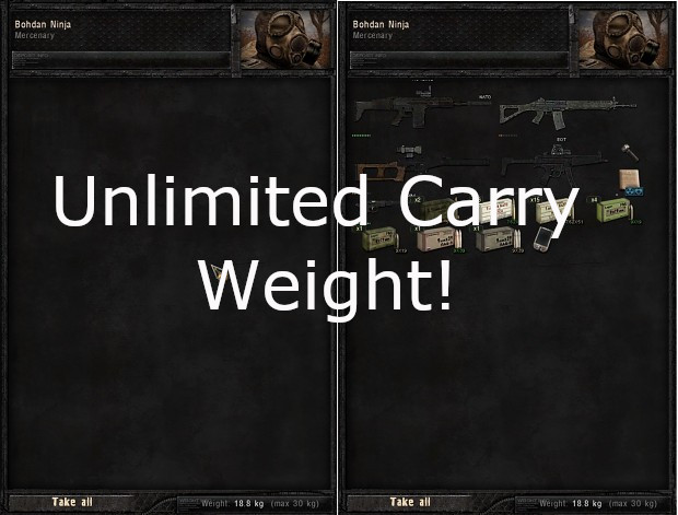 companion carry weight unlimiter(Anomaly 1.5.1/1.5.2)