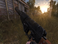 VSS of DAYZ ST. for Position and View