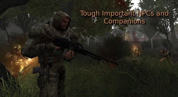 Tough Important NPCs and Companions [1.5.1]